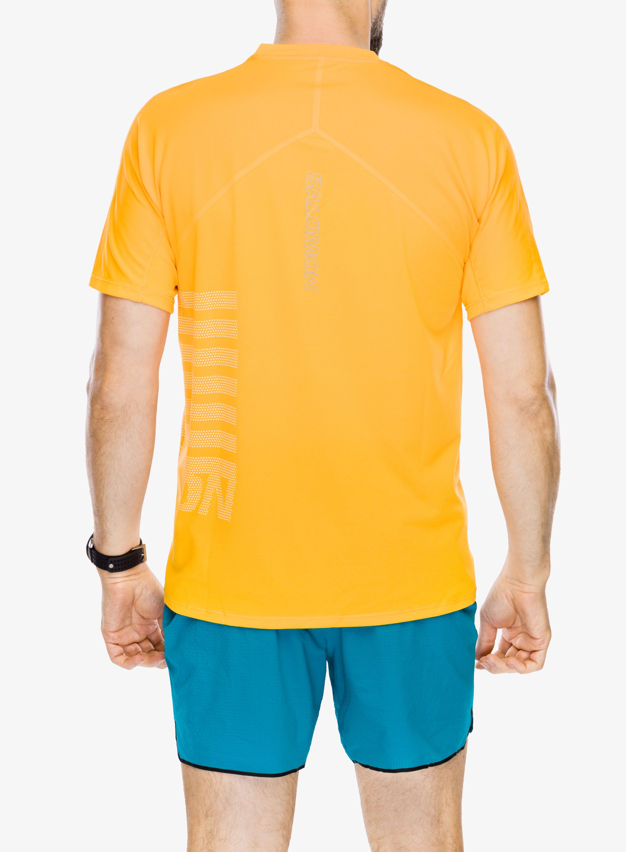 Tričko Salomon Sense Aero S/S GFX - zinna