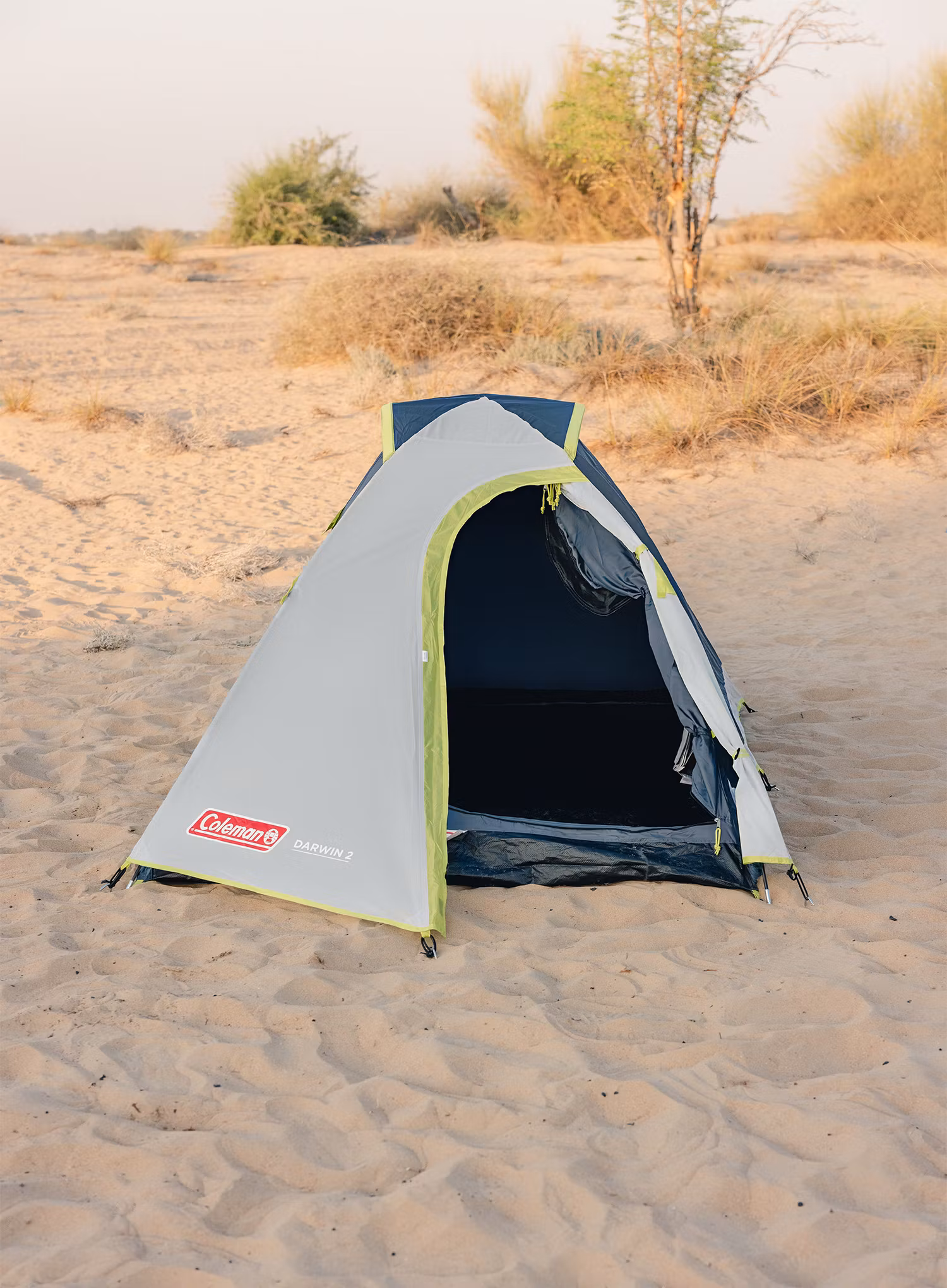 Stan pre 2 osoby Coleman Darwin 2 - grey