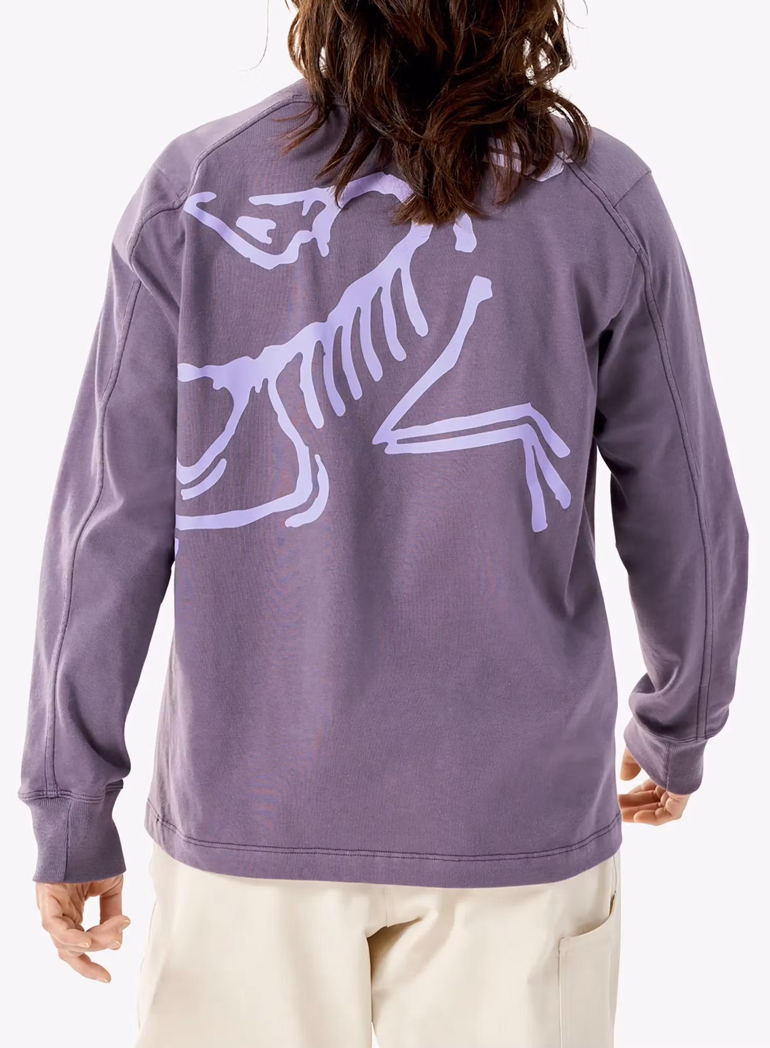 Mikina dámska Arcteryx Kragg Cotton Bird Crew LS - lt moondrop