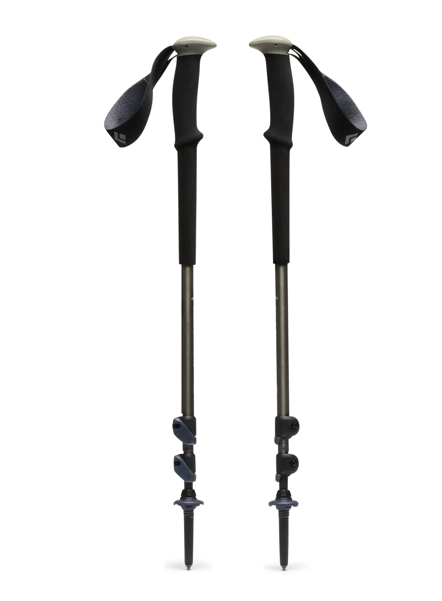 Trekingové palice Black Diamond Trail Trekking Poles - pine smoke