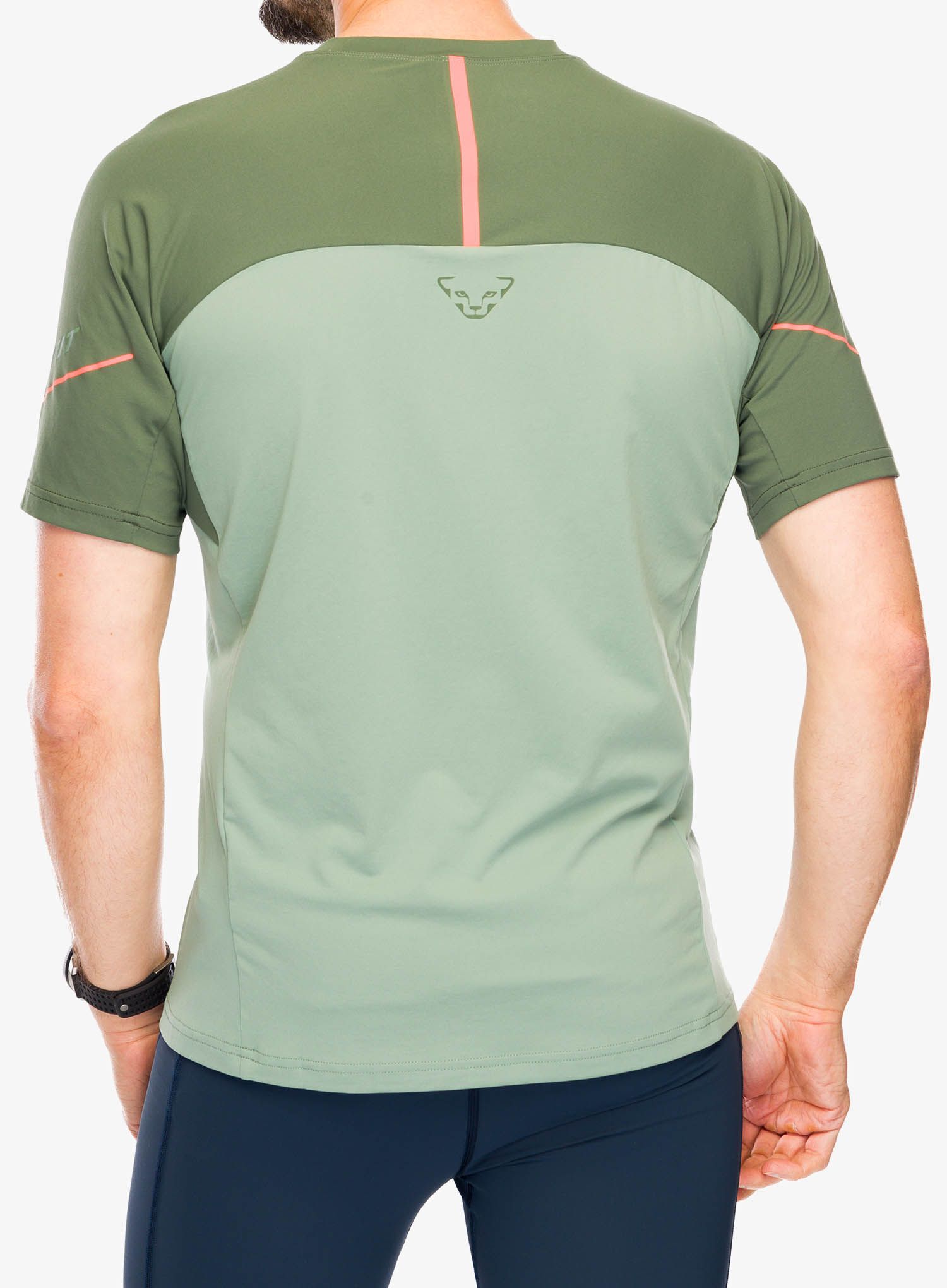 Tričko Dynafit Alpine Pro S/S Tee - sage