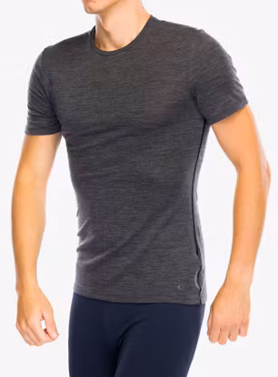Funkčné tričko Icebreaker Anatomica S/S Crewe - jet hthr