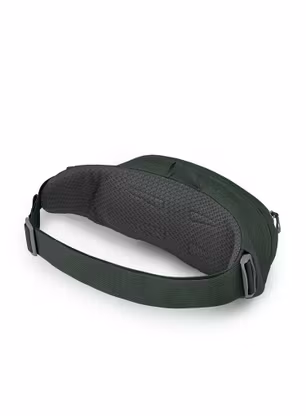 Ľadvinka Osprey Daylite Waist - green belt/green canopy