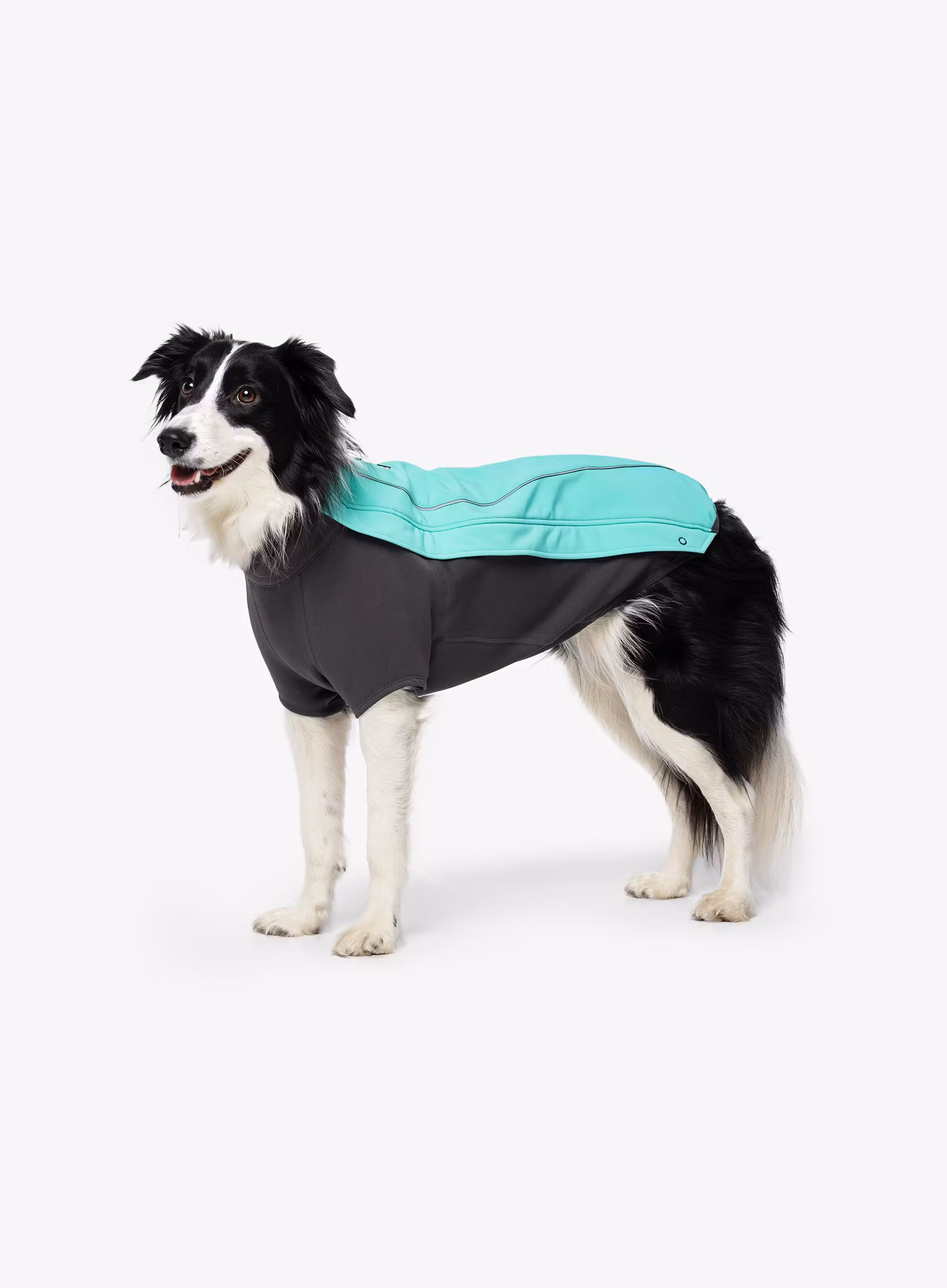 Bunda pre psa Ruffwear Cloud Chaser Jacket - aurora teal