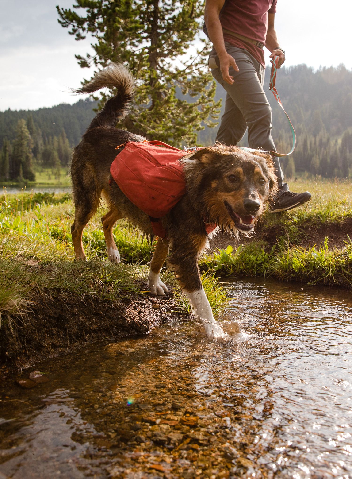 Batoh pre psa Ruffwear Front Range Day Pack - red clay