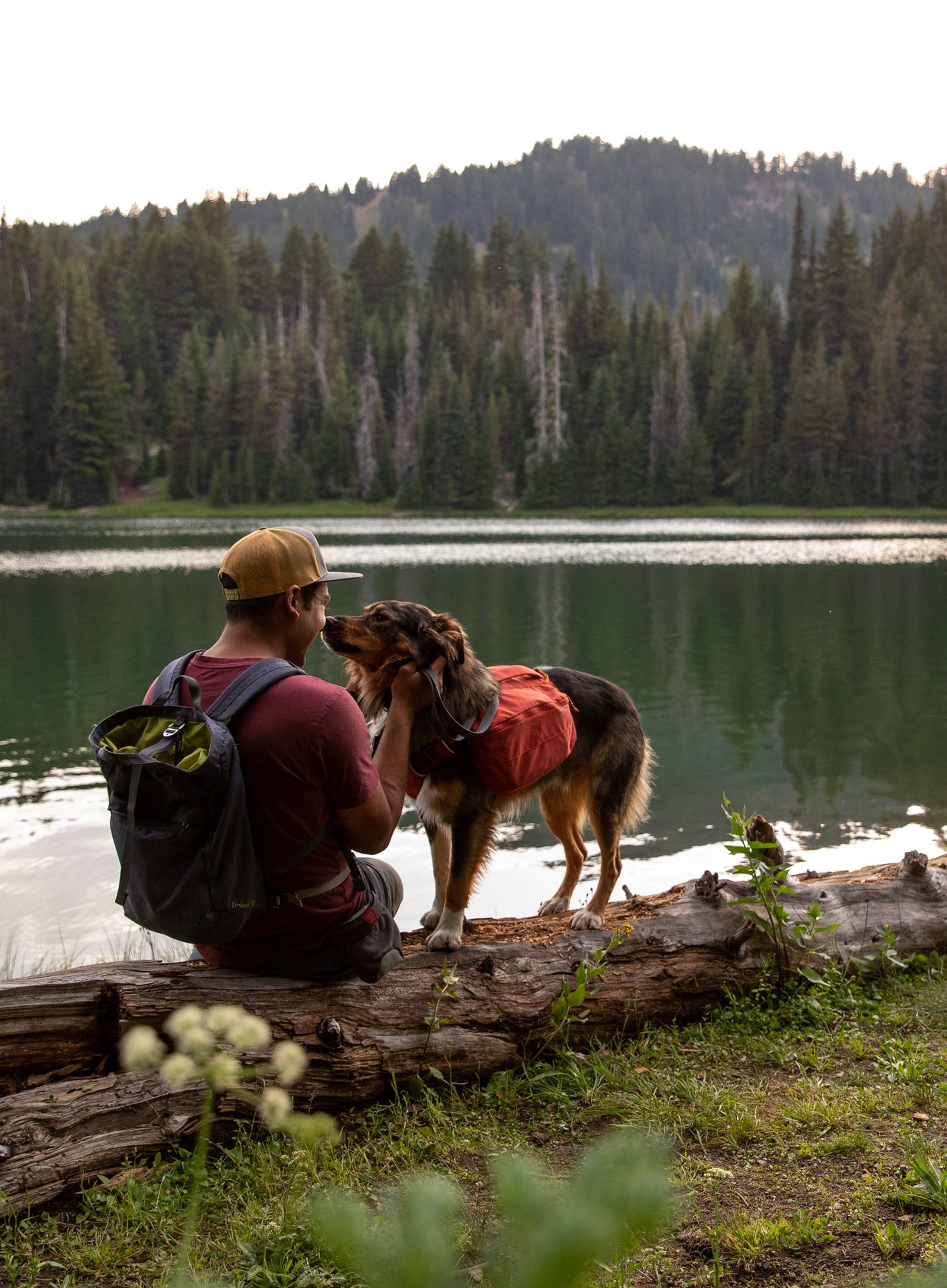 Batoh pre psa Ruffwear Front Range Day Pack - red clay
