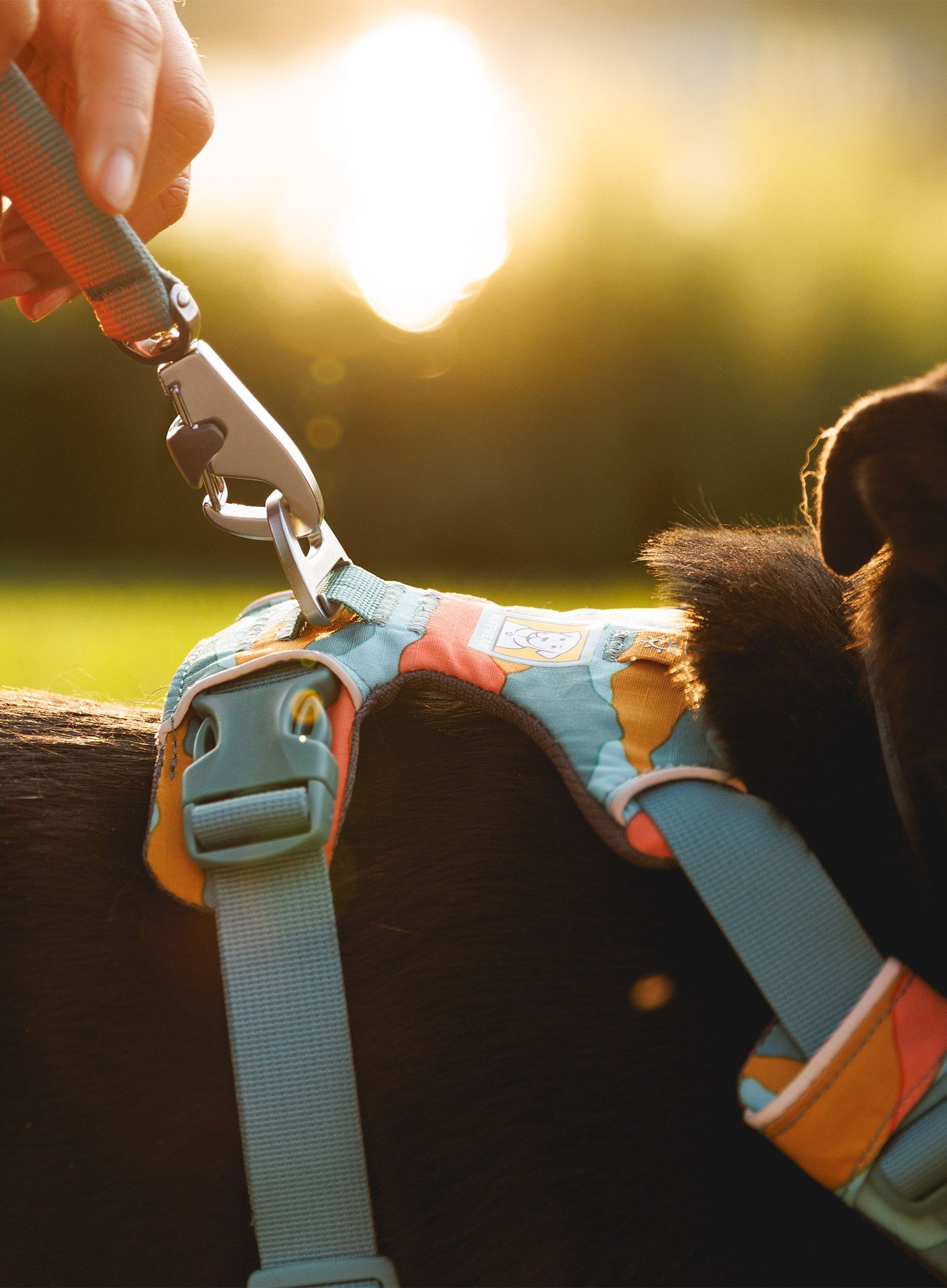 Postroj pre psa Ruffwear Front Range Harness M - spring mountains