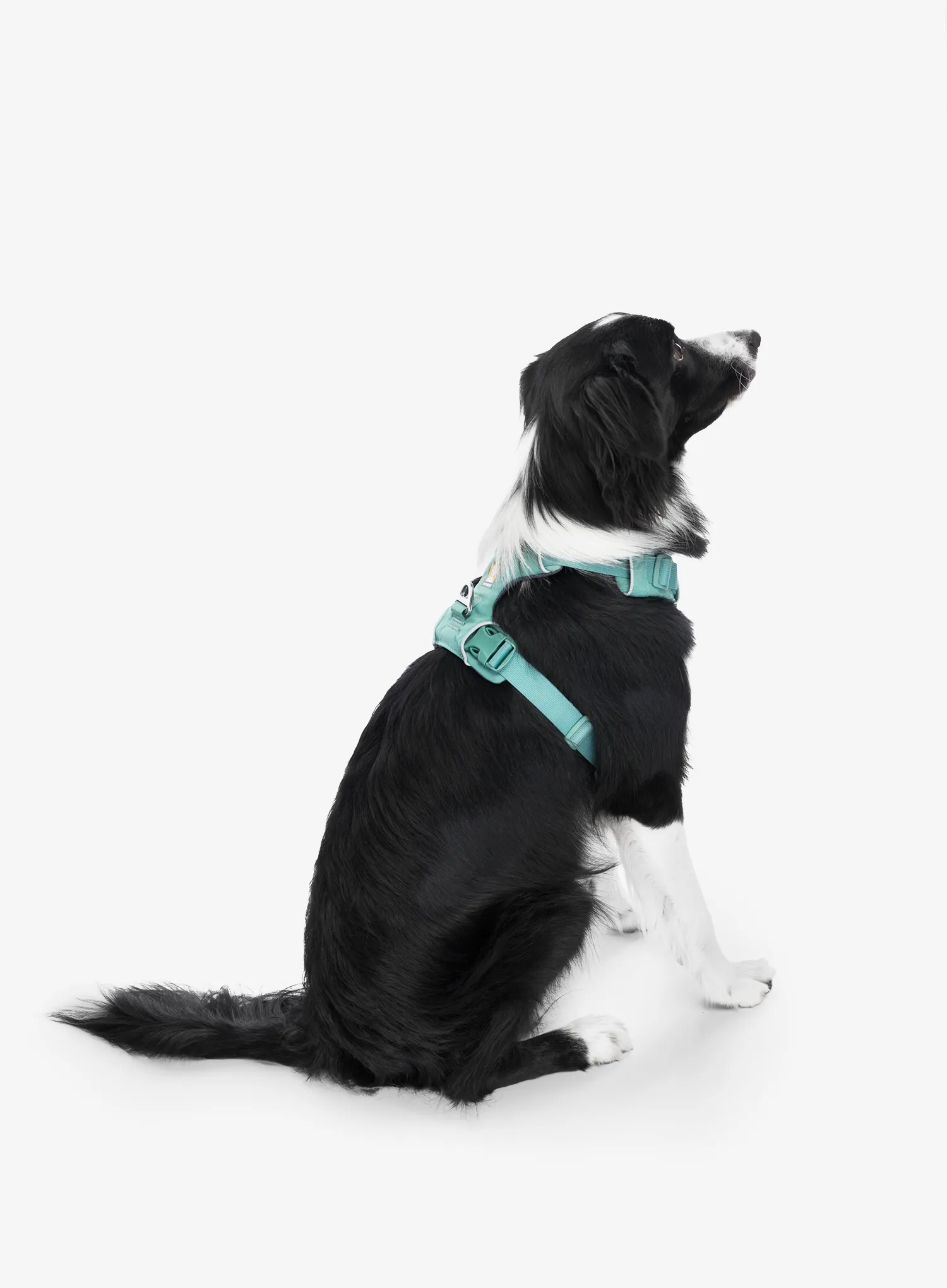 Postroj pre psa Ruffwear Front Range Harness S - river rock green