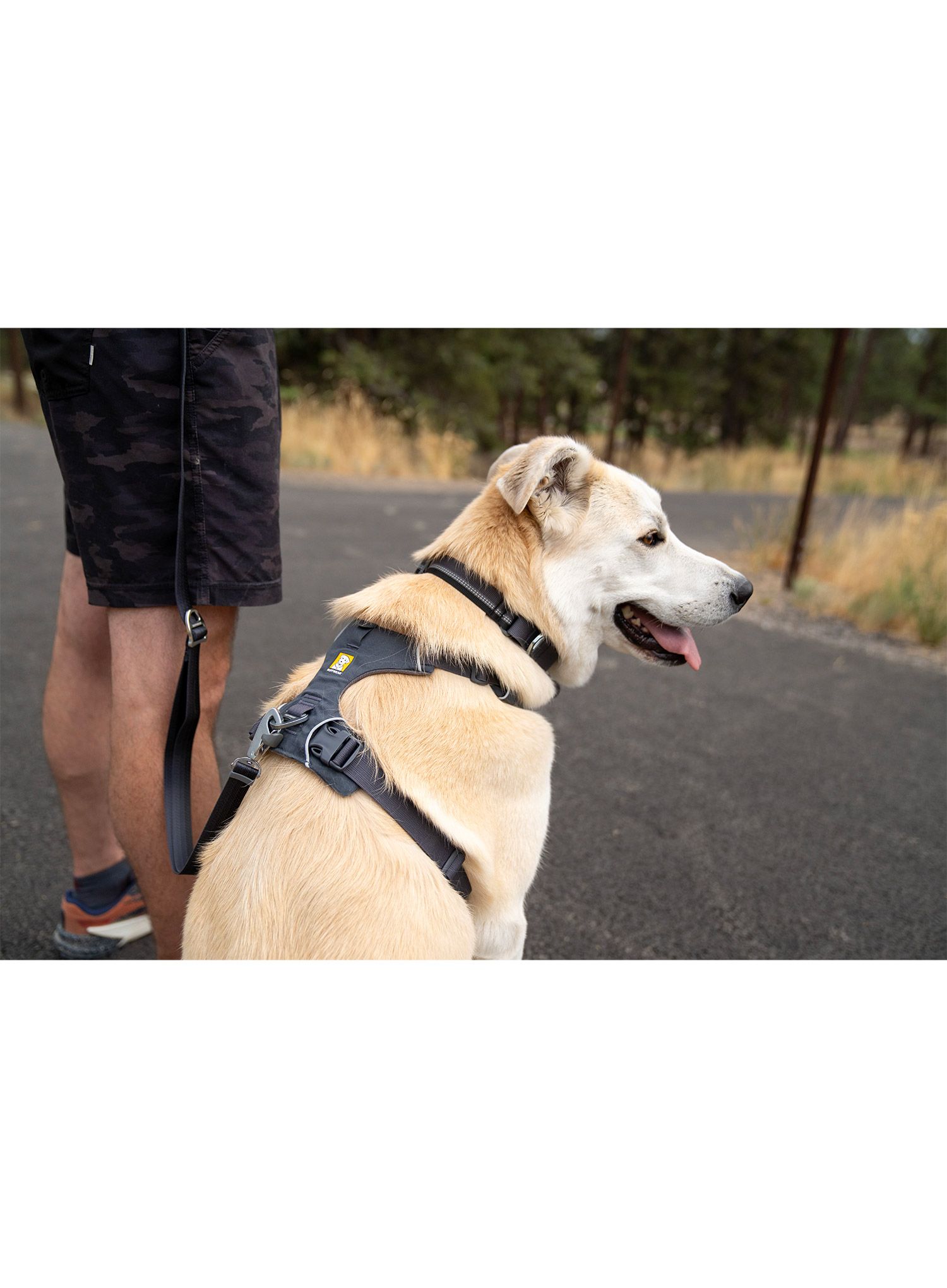 Postroj pre psa Ruffwear Front Range Harness XS - basalt gray