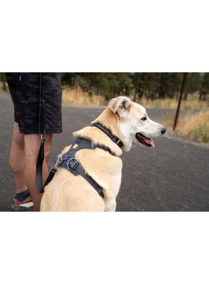 Postroj pre psa Ruffwear Front Range Harness XS - basalt gray