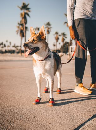 Topánky pre psa Ruffwear Grip Trex - red sumac