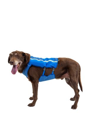 Vesta pre psa Ruffwear Trail Runner Running Vest - blue pool