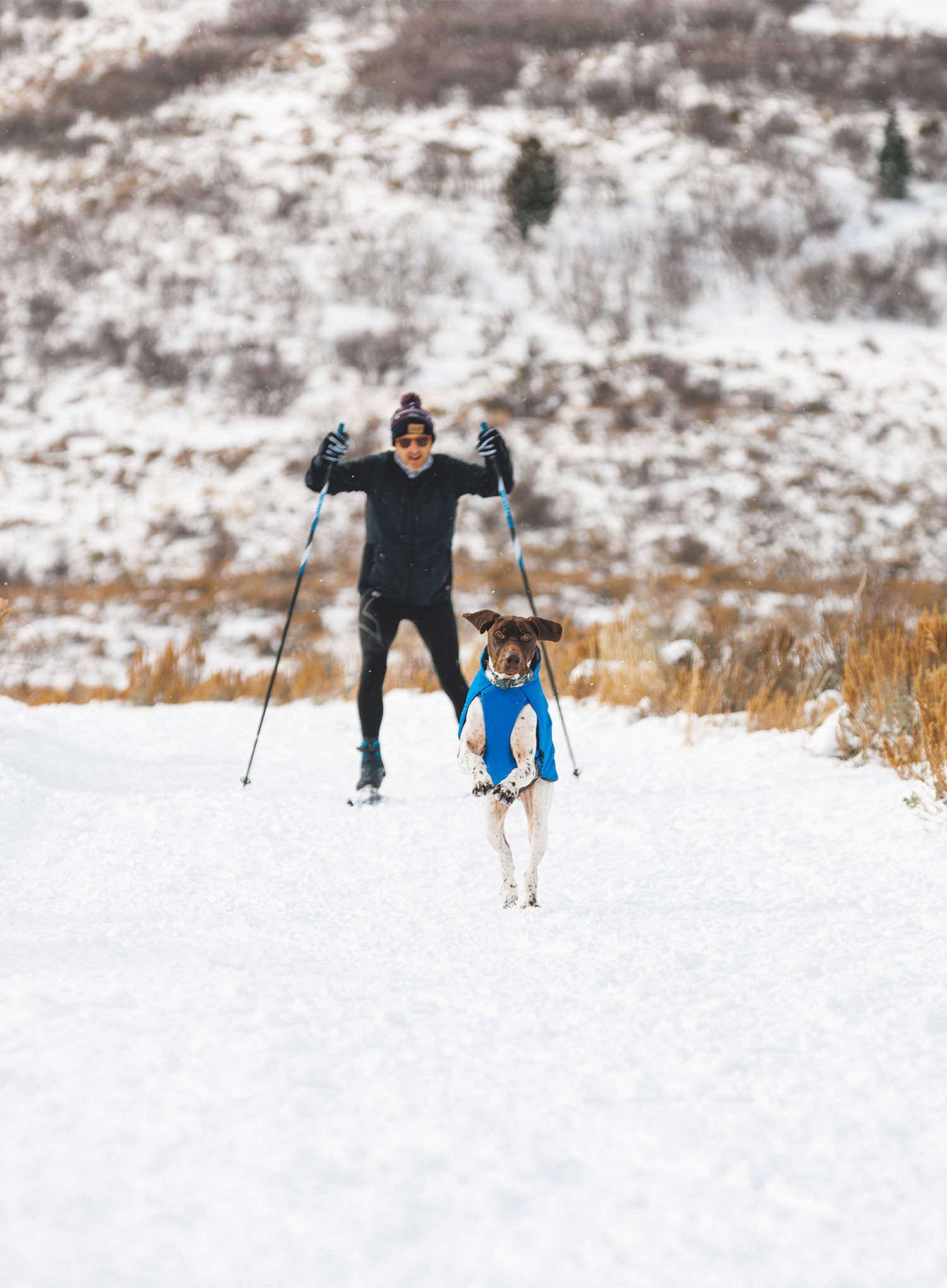 Bunda pre psa Ruffwear Vert Dog Jacket - blue pool