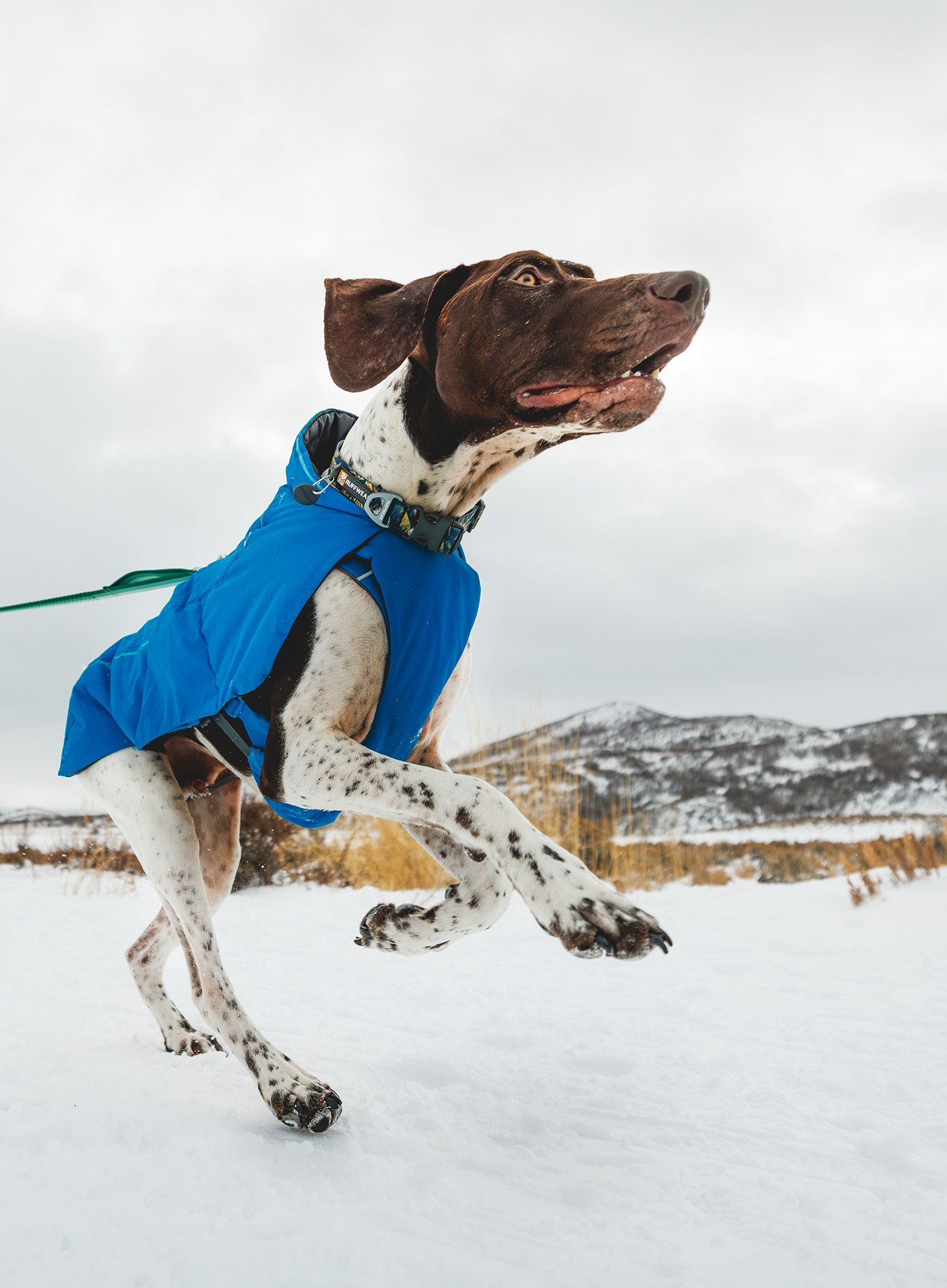 Bunda pre psa Ruffwear Vert Dog Jacket - blue pool