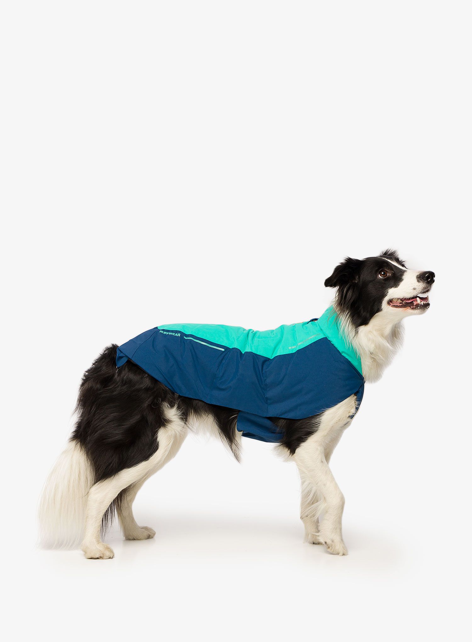 Bunda pre psa Ruffwear Vert Jacket - aurora teal