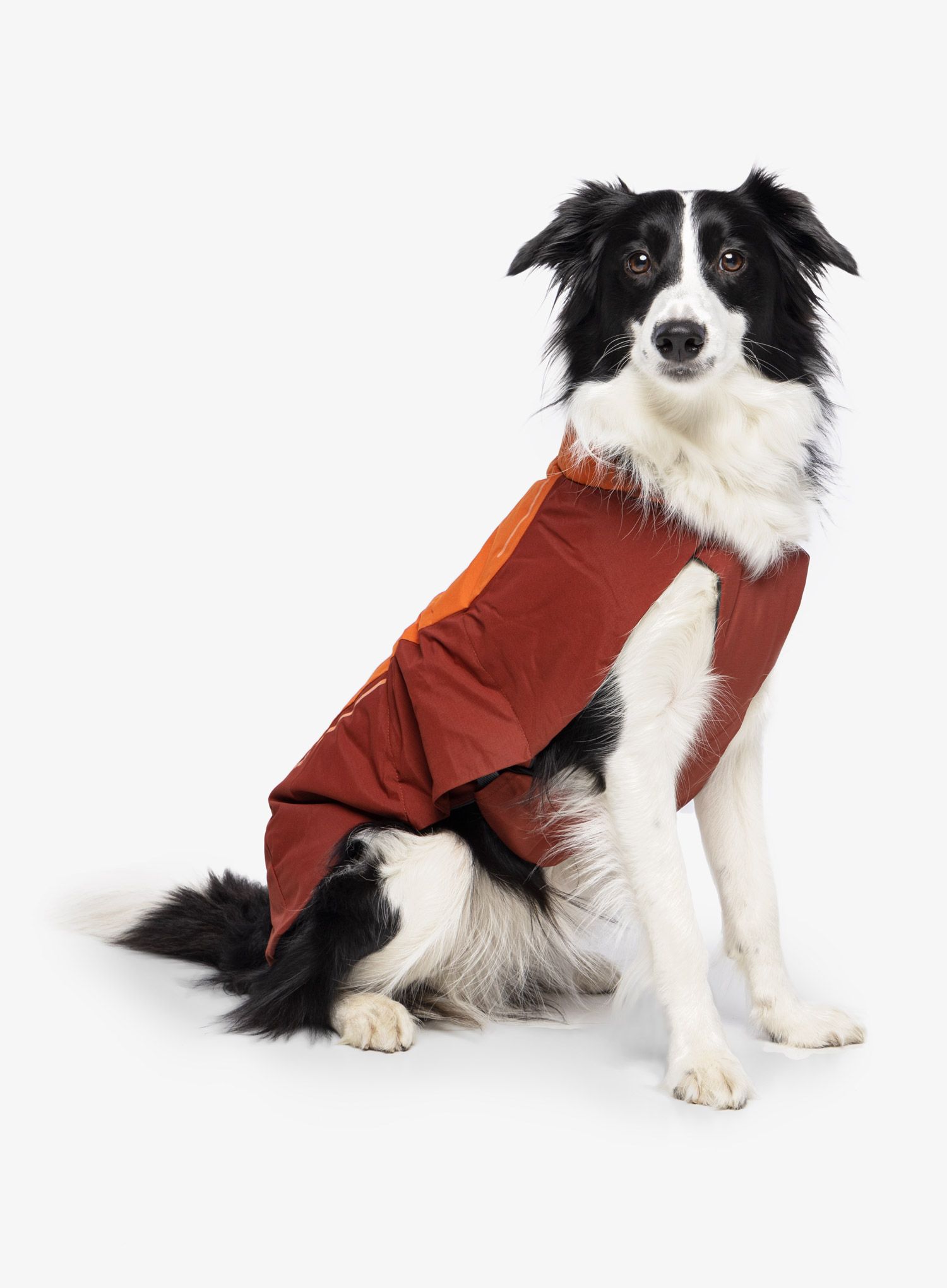 Bunda pre psa Ruffwear Vert Jacket - canyonlands orange