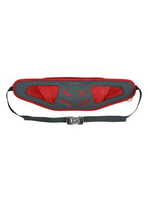 Ľadvinka Salewa Lite Train Hipbelt - flame