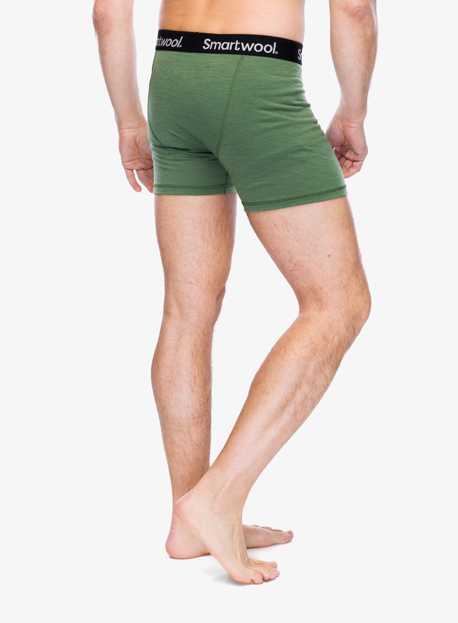 Boxerky Smartwool Merino Boxer Brief Boxed - fern green