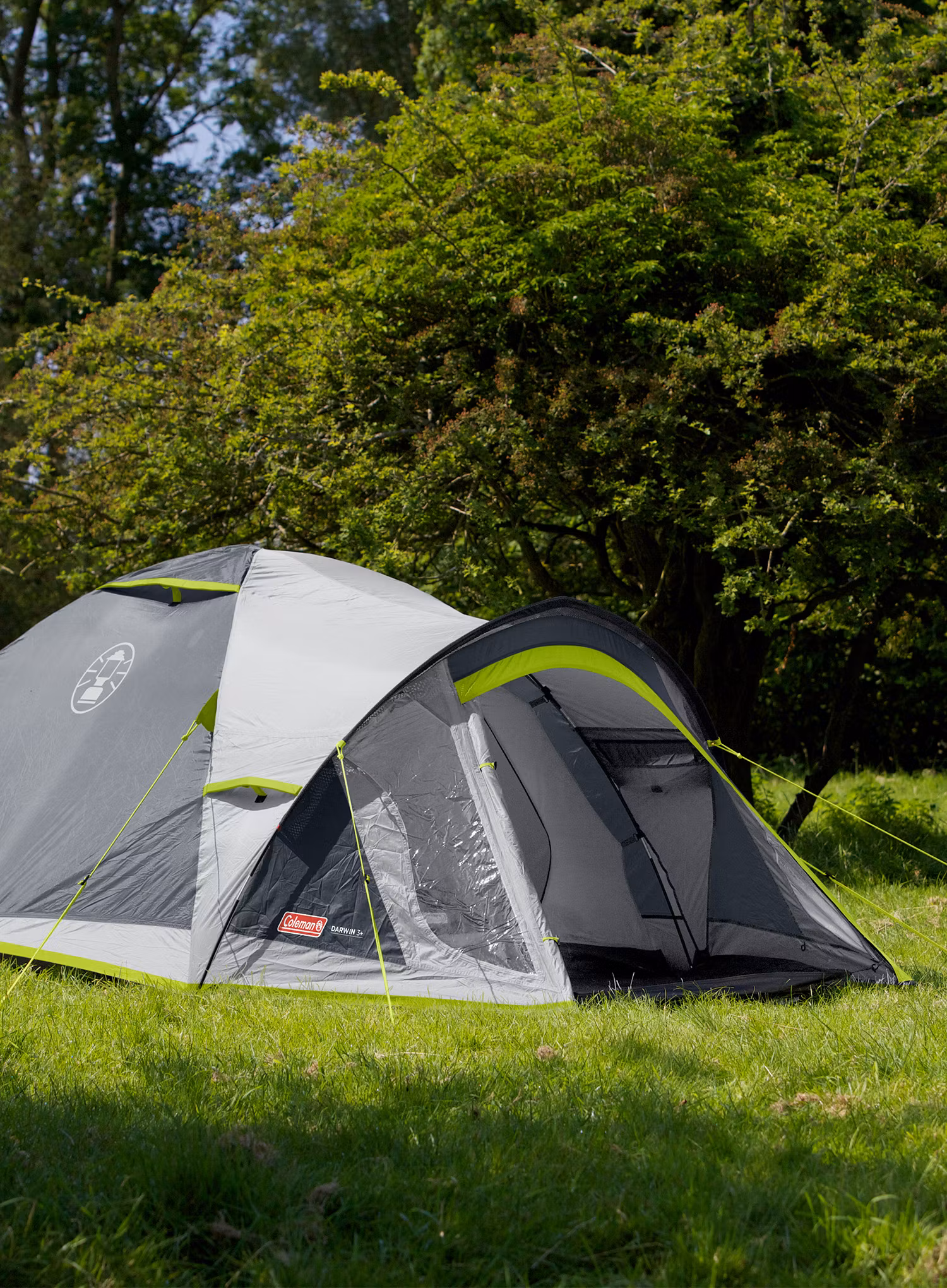 Stan 3 osoby Coleman Darwin 3 Plus - grey/green
