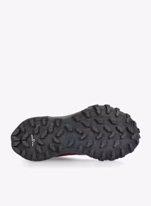 Dámske bežecké topánky The North Face Offtrail TR GTX - alpine plum/asphalt grey