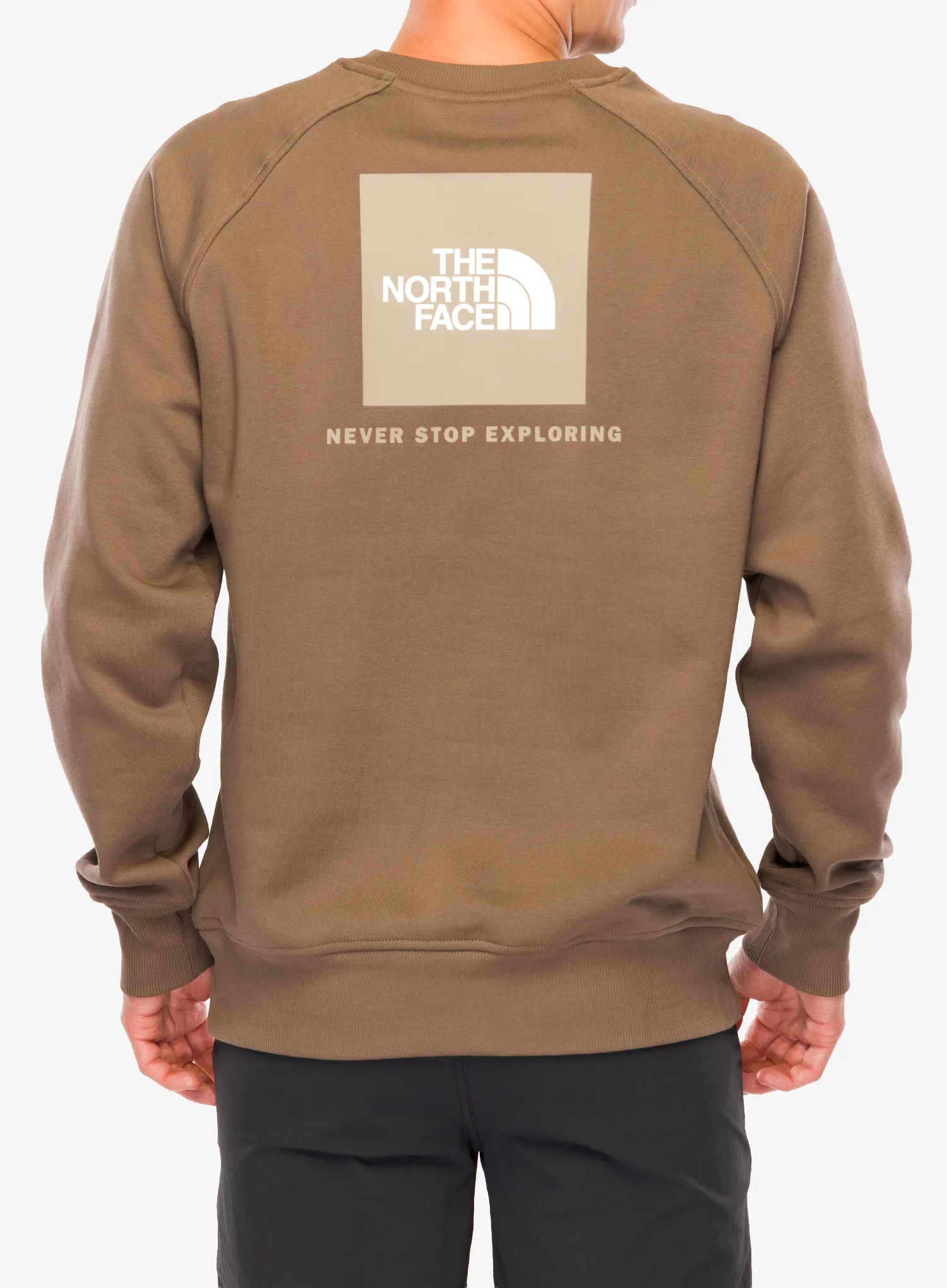 Mikina bez kapucne The North Face Raglan Redbox Crew - mocha brown/mushroom