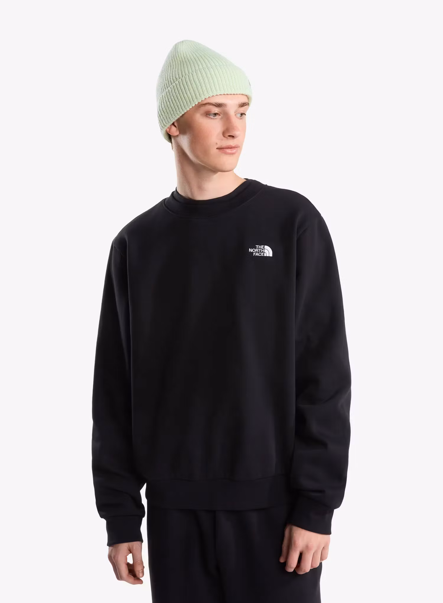 TheNorthFaceEvolutionSimpleDomeRegularCrew_tnfblack_fw26_197804177042_1_231.webp