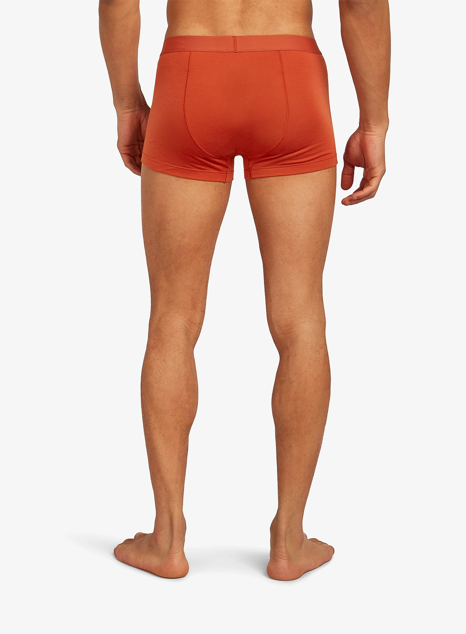 Boxerky Icebreaker Merino 125 Cool-Lite Anatomica Trunks - agate