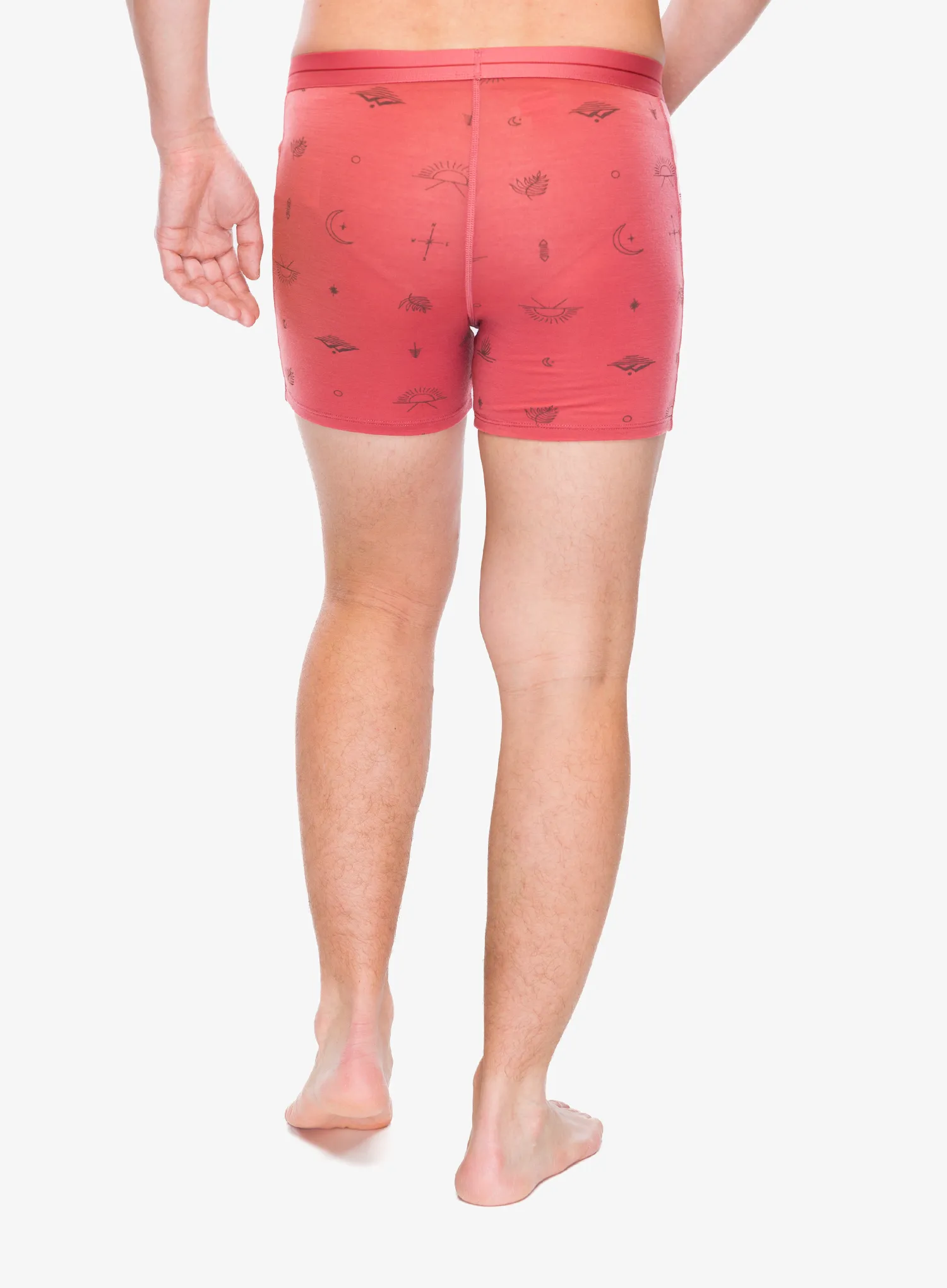 Boxerky Icebreaker Merino 150 Anatomica Boxers Explore More - plume/aop