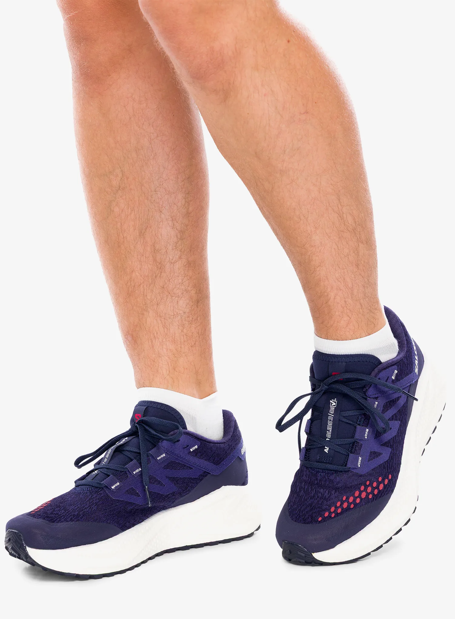 Bežecké tenisky pánske Salomon Aero Glide 3 GRVL - astral/vanila/haute