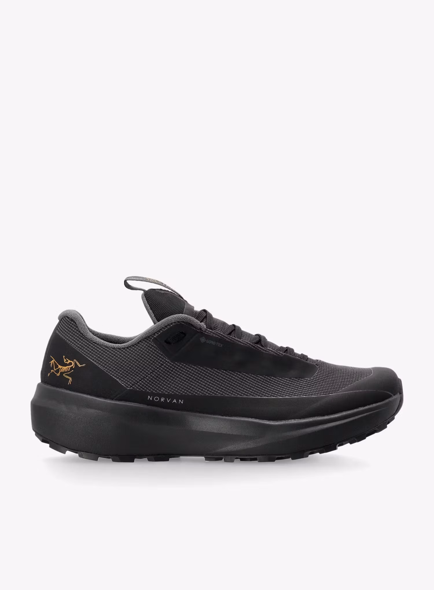 ArcteryxNorvanLD4GTX_black_623555646266a.webp