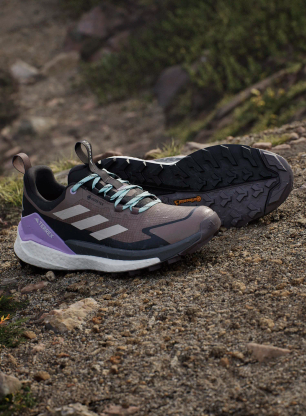 Turistické topánky dámske adidas TERREX Free Hiker 2 Low GTX - trace brown/won alumina/carbon