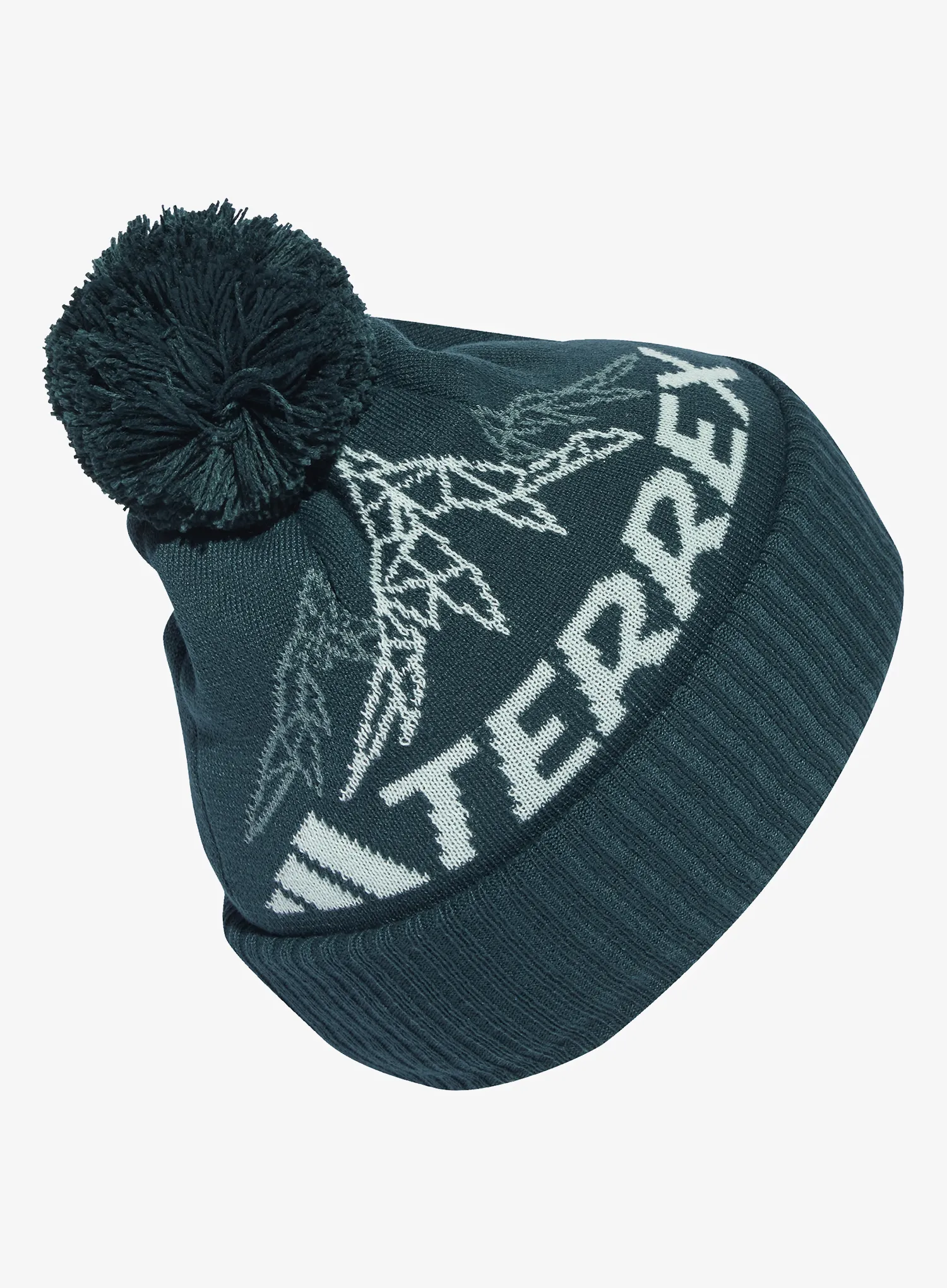 Zimná čiapka adidas TERREX Xploric Pom Beanie - aurora ivy