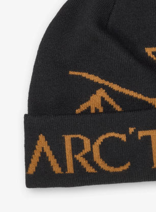 Čiapka Arcteryx Bird Word Toque - 24k black