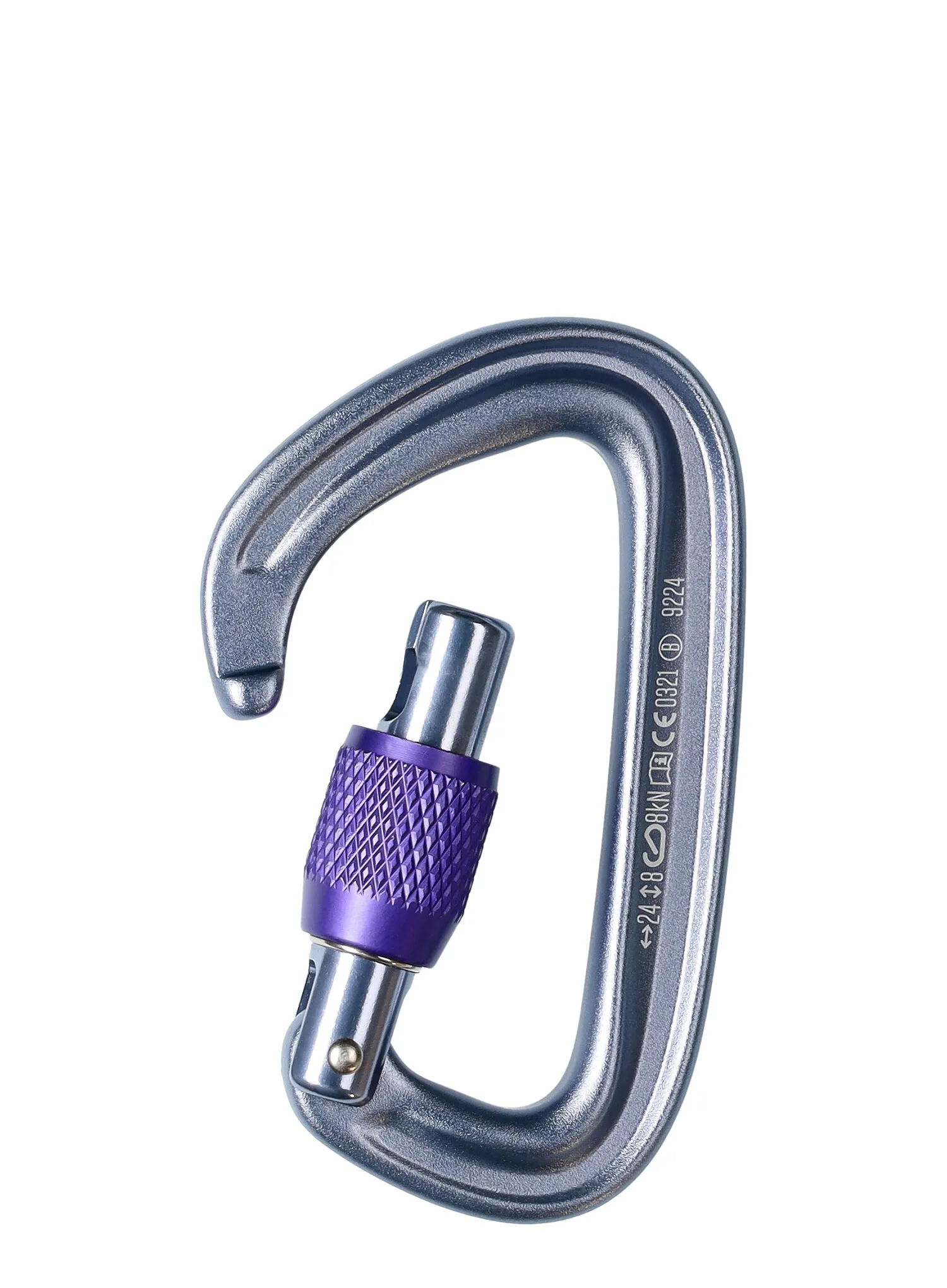Karabína Black Diamond LiteForge Screwgate - gray
