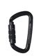 Karabína Climbing Technology/SKYLOTEC D-Shape CF TG - black