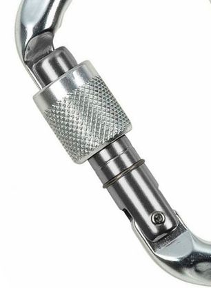 Karabína Climbing Technology/SKYLOTEC D-Shape CF SG - silver