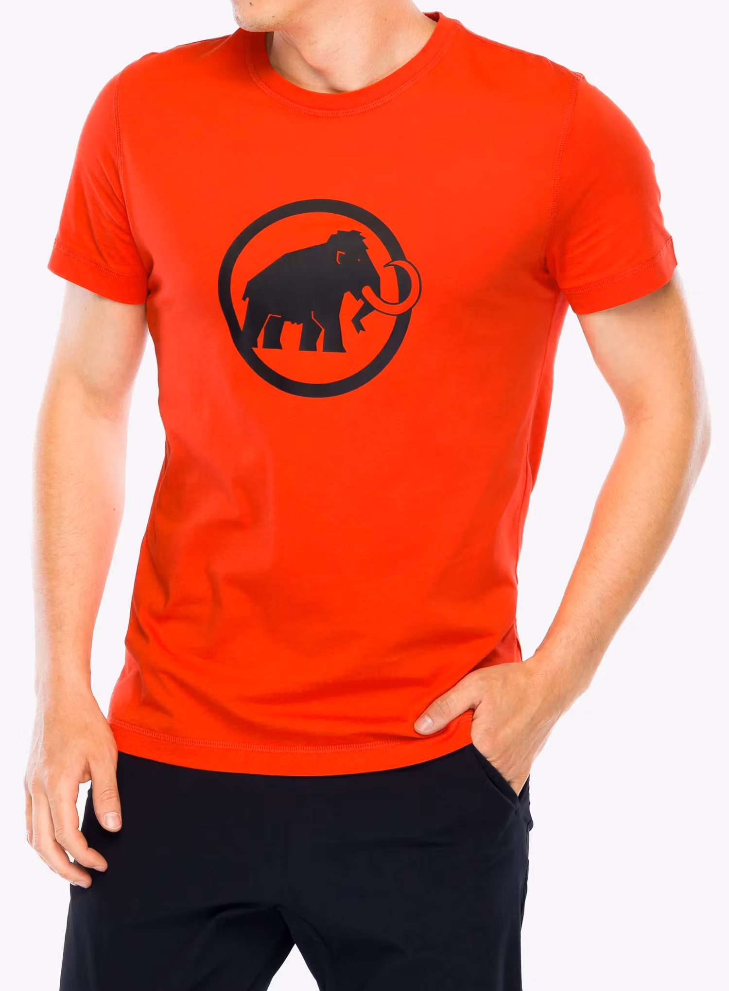 MammutCoreT_ShirtClassic_mammutr7619876468741a.webp