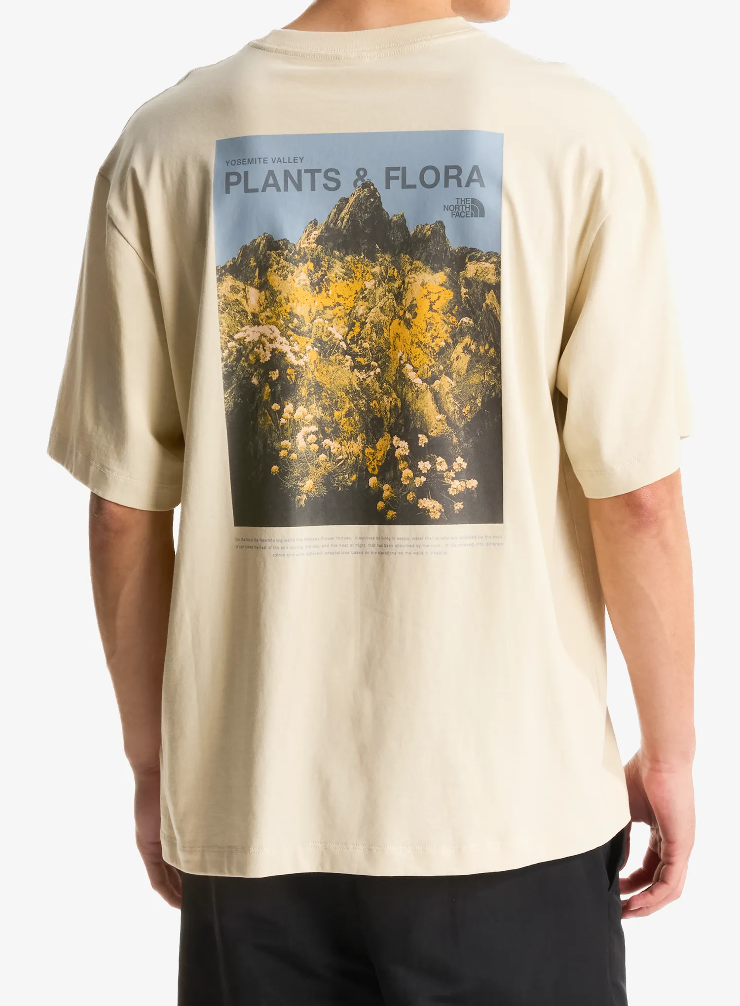 Bavlnené tričko The North Face Plant & Flora Oversize SS Tee - desert stone