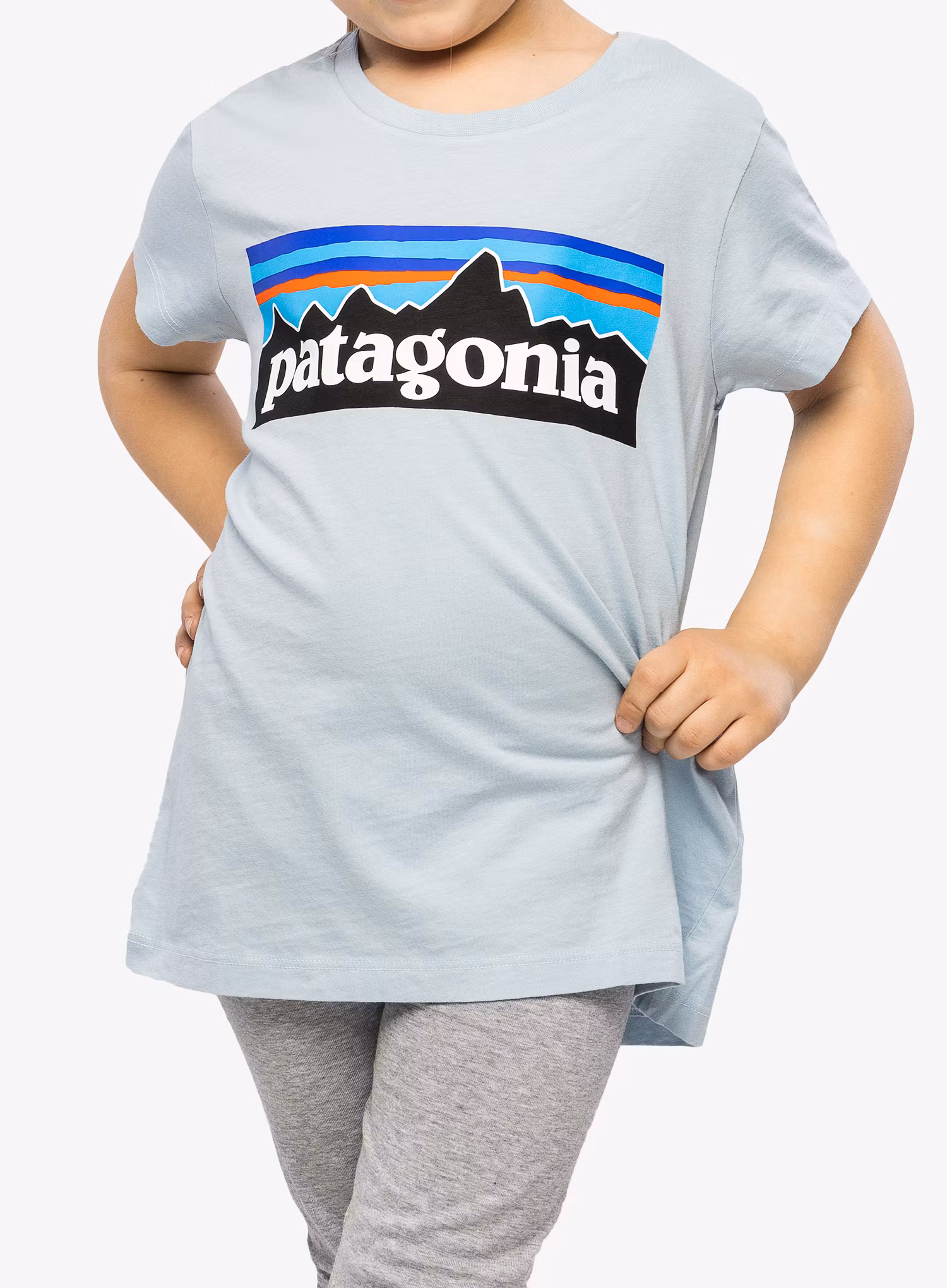 PatagoniaRegenerativeOrganicCertifiedCottonP_6LogoT_Shirt_014.jpg