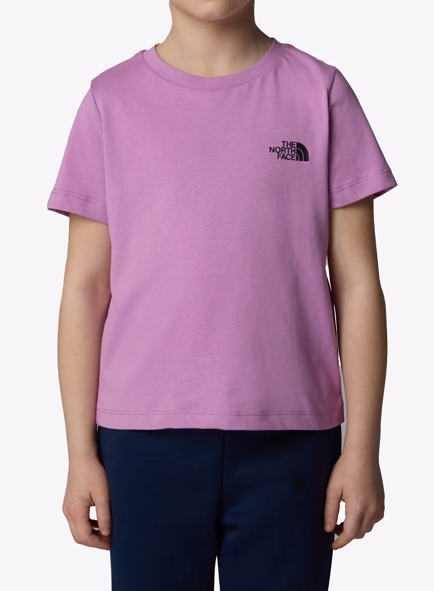TheNorthFaceRedboxSSTee_dragonfruit197065003036a.jpg