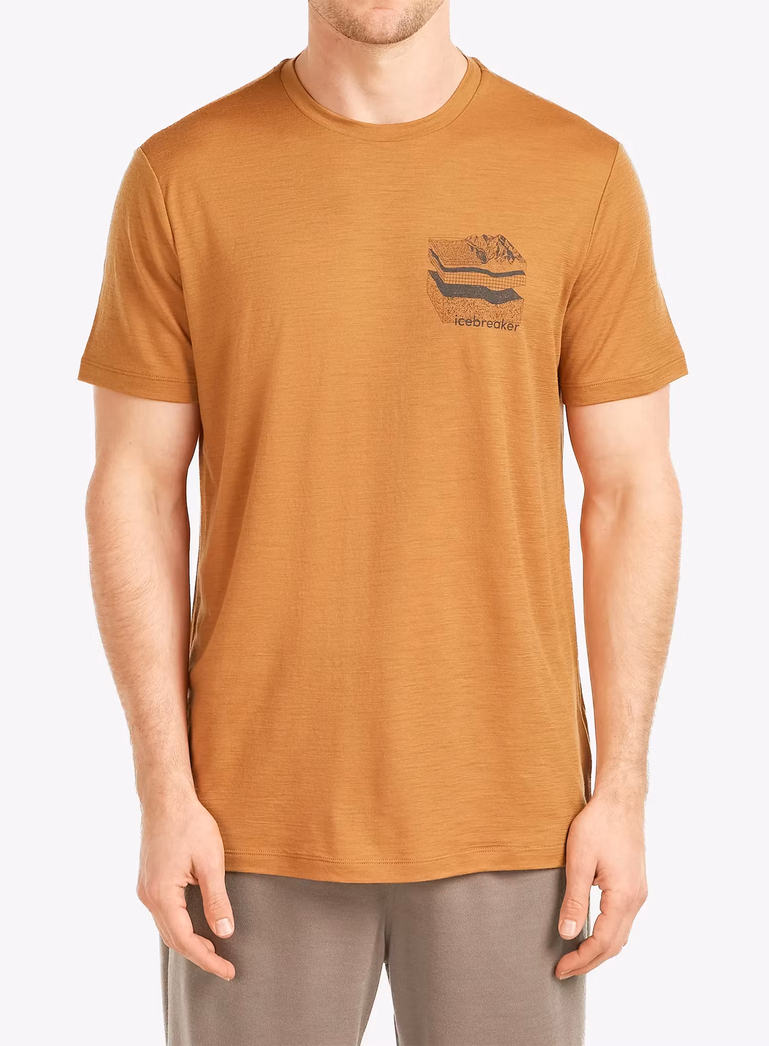qweIcebreakerMerino150TechLiteSSTeeEvolvingLayerstrail198265723946a.webp