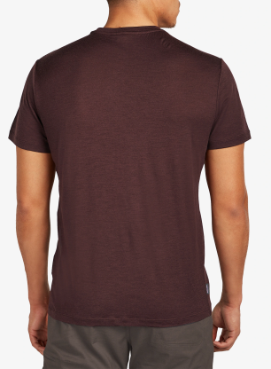 Merino tričko Icebreaker Merino 150 Tech Lite SS Tee In The Wild - java