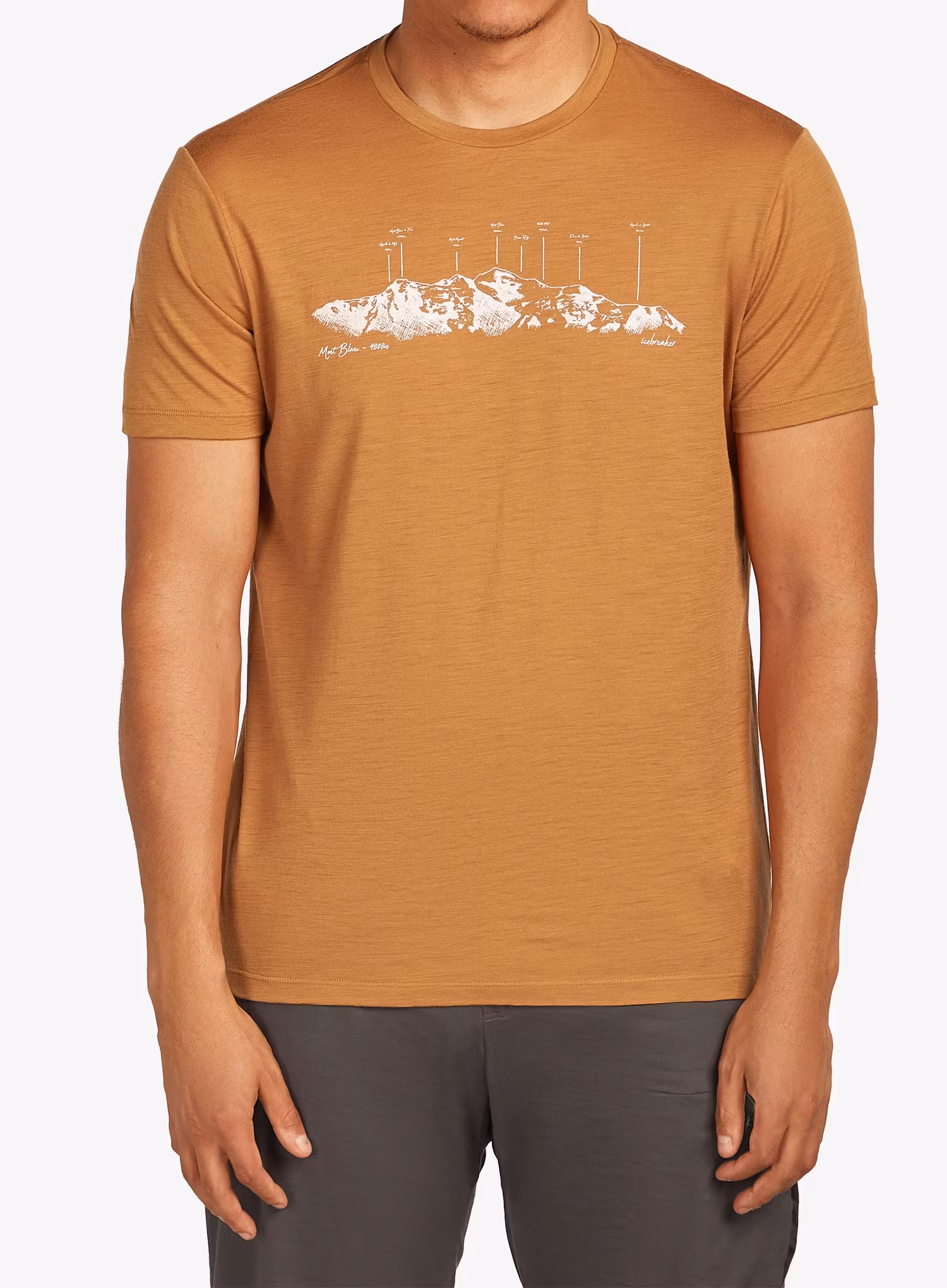 qweIcebreakerMerino150TechLiteSSTeeThePeaks_trail198265224993a.webp