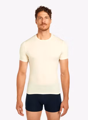 qweIcebreakerAnatomicaSSCreweundyed195437908644A.webp