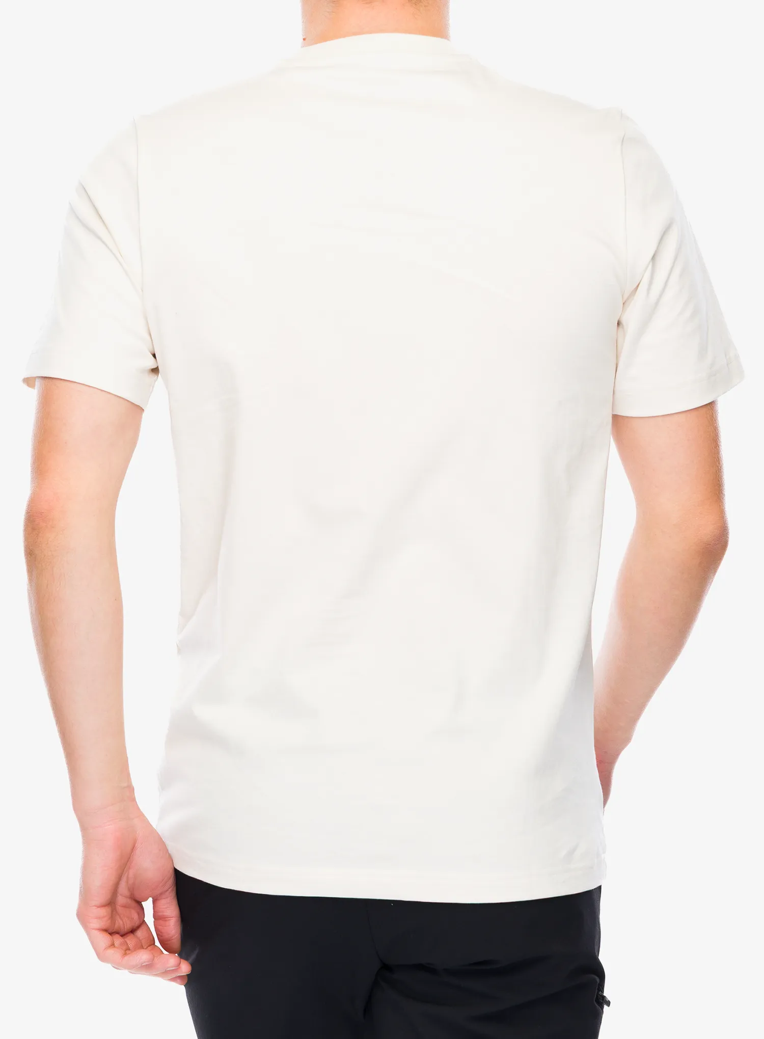 Tričko s potlačou adidas TERREX Wild Tee - wonder white