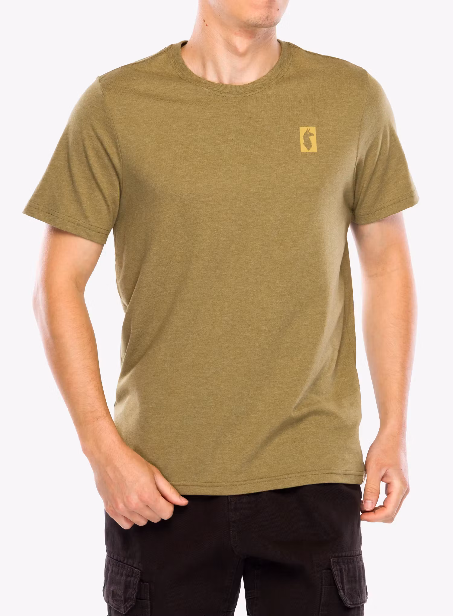 CotopaxiGearForGoodStripesT_Shirt_moss_196928176443_001.webp