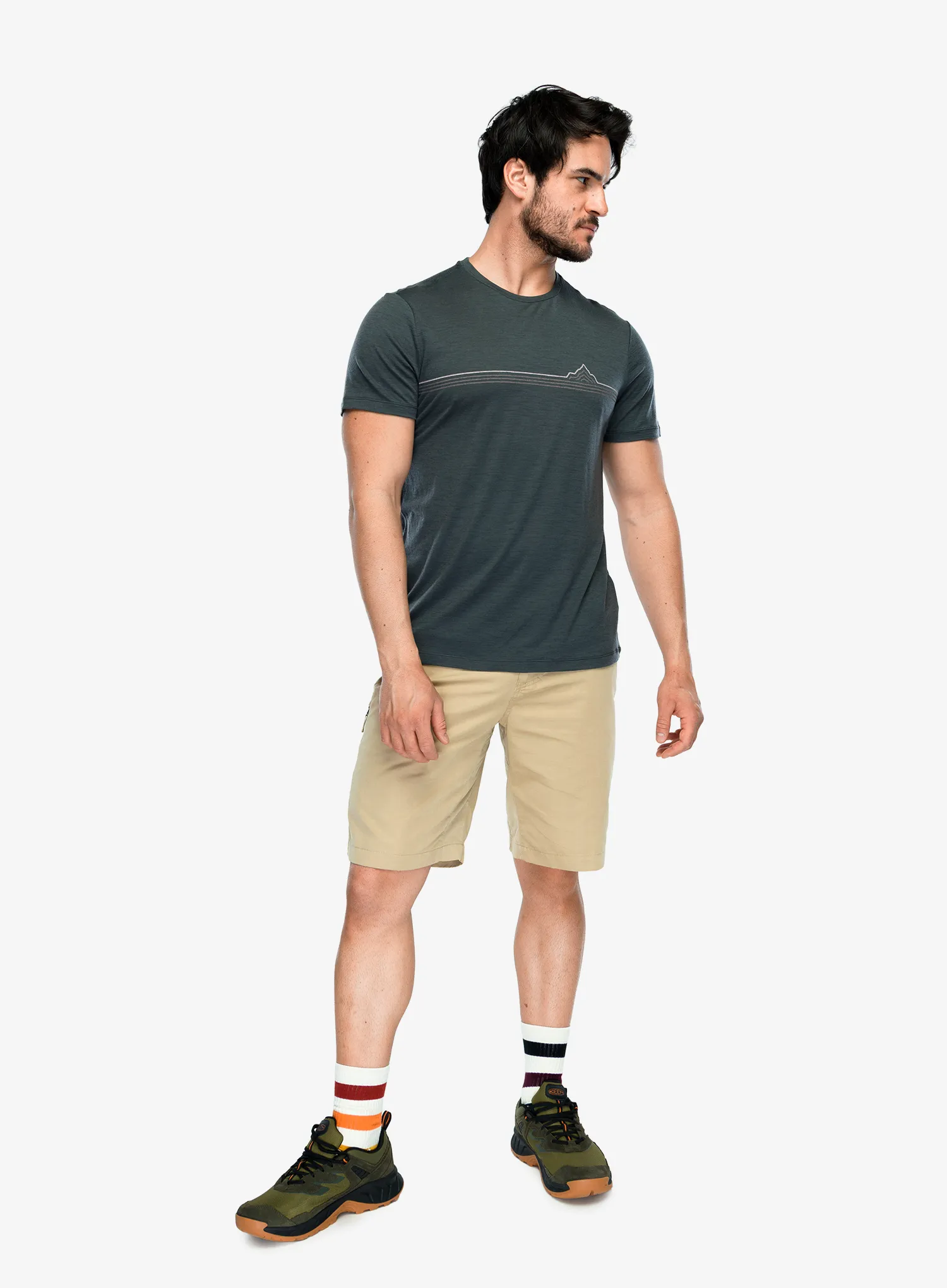 Tričko s potlačou Icebreaker Merino 150 Tech Lite SS Tee Range Stripes - obsidian