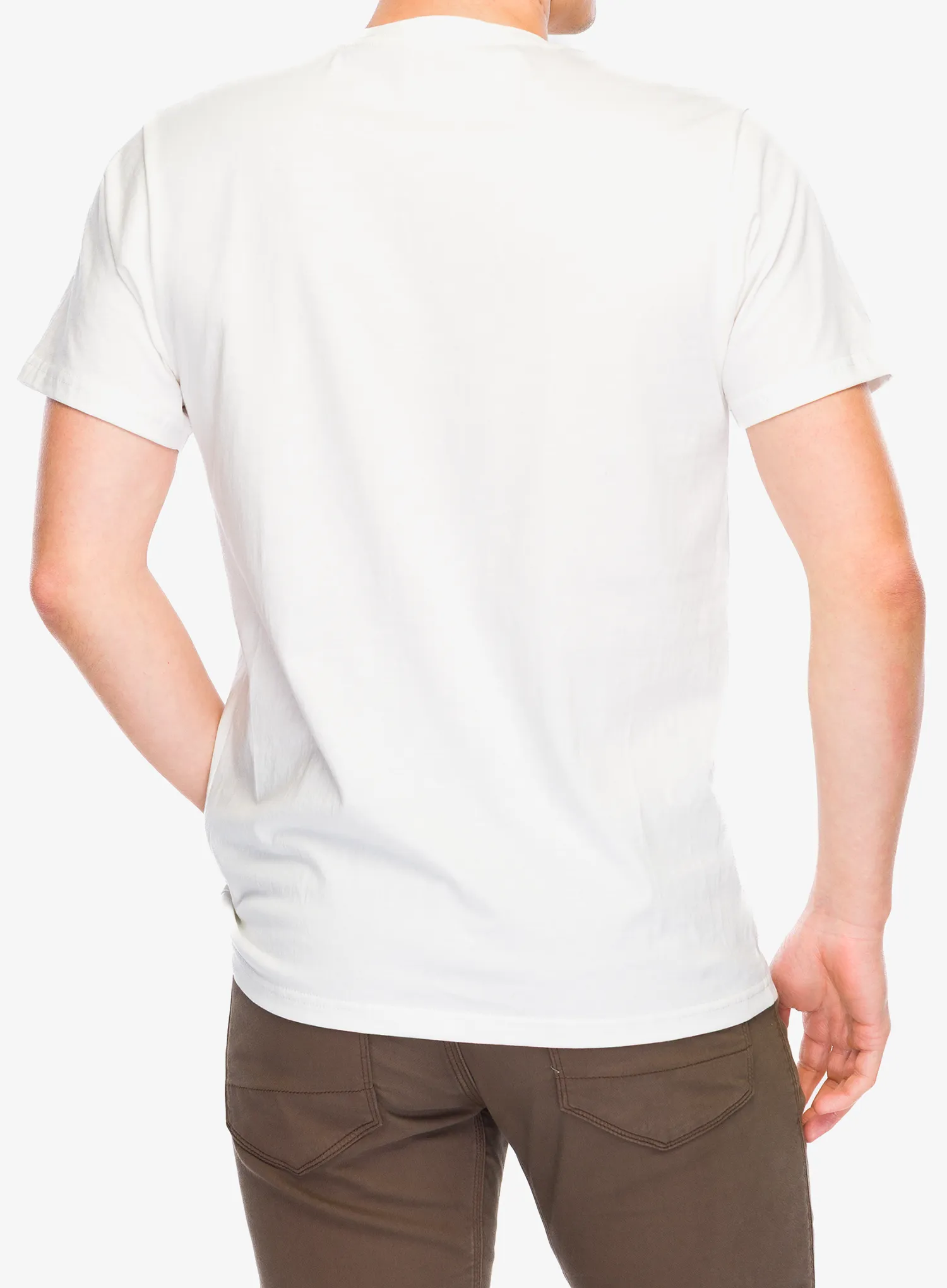 Tričko s potlačou Stance Botanica Tee - canvas