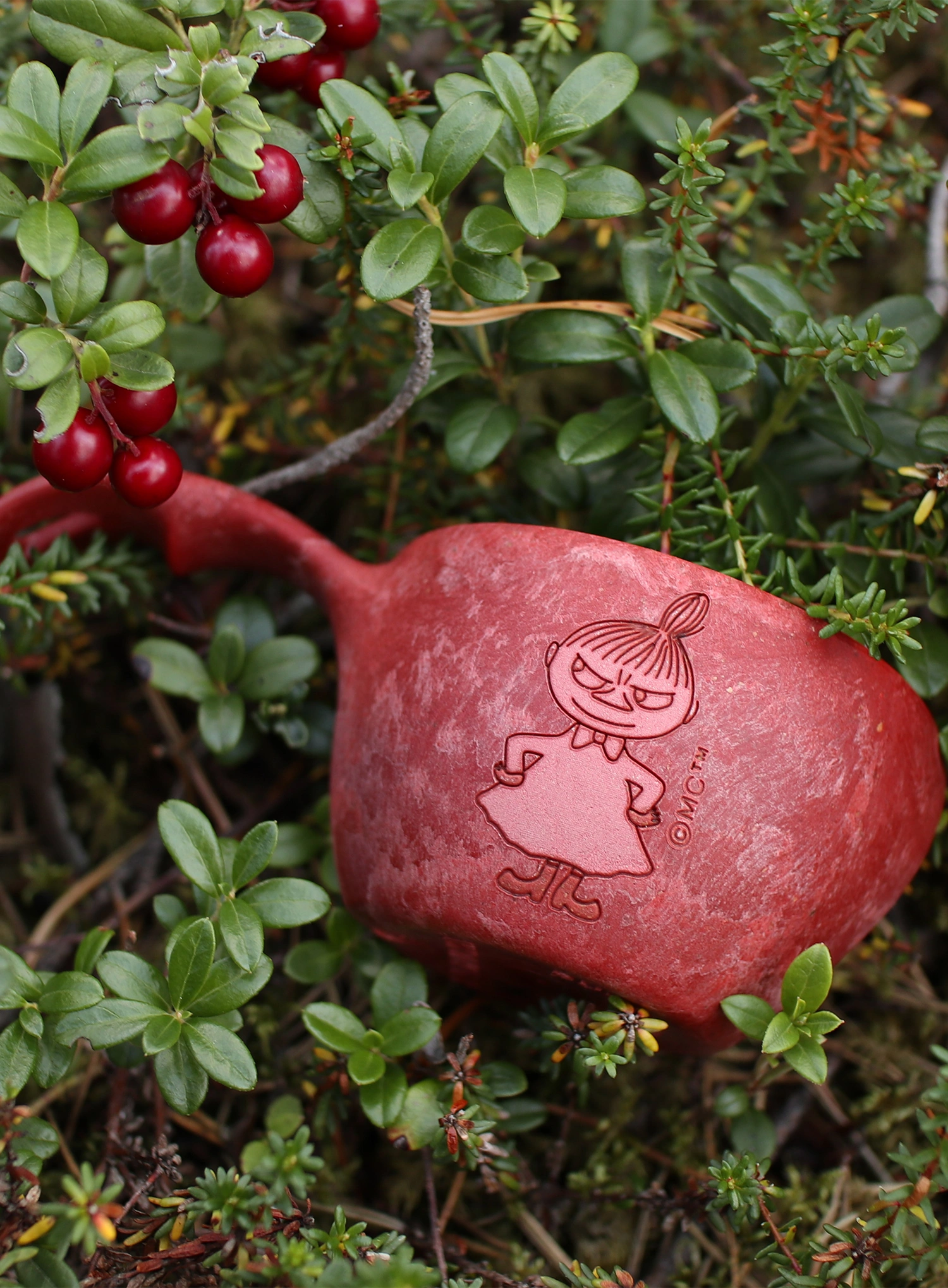 Turistický hrnček Kupilka 12 Moomin Little My (0,12 l) - red