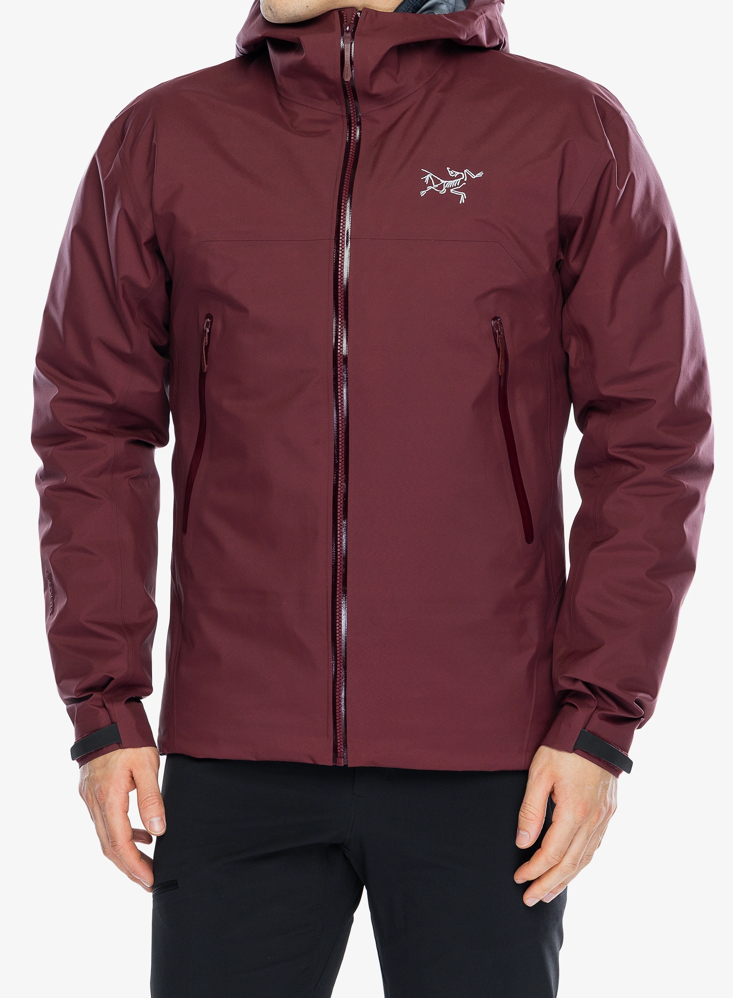 ArcteryxBetaJacket_marsmars623555780892a.webp